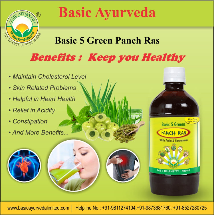 Basic Ayurveda Basic 5 Green Panch Ras |  Juice | Improve Immunity| Energetic Drink | Anti Hair Fall | Maintain Cholesterol Level | Beneficial in Stomach Problems.