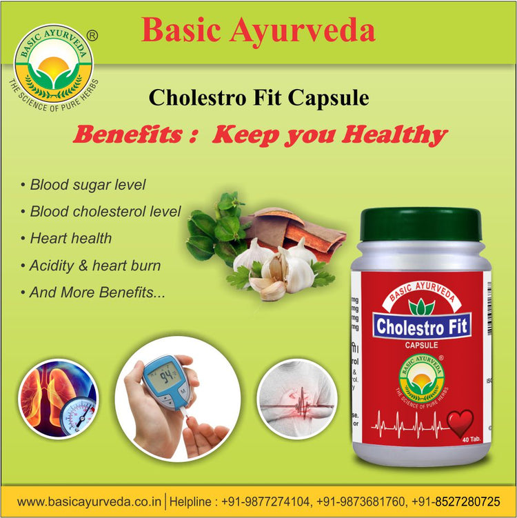 Basic Ayurveda Cholestro Fit 40 Capsule