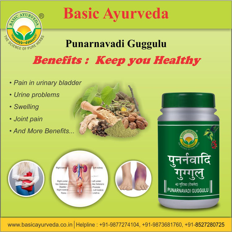 Basic Ayurveda Punarnavadi Guggulu 40 Tablet