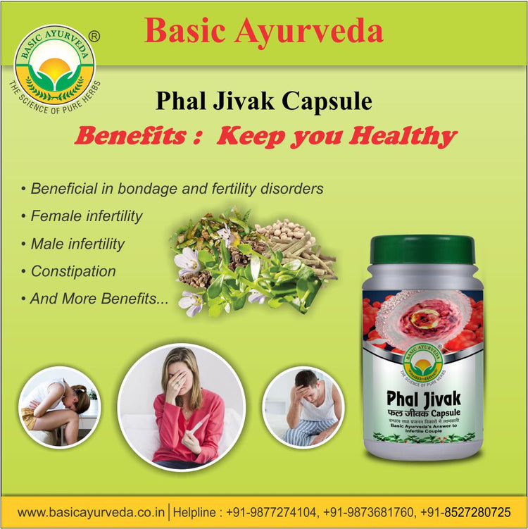 Basic Ayurveda Phal Jivak 40 Capsule