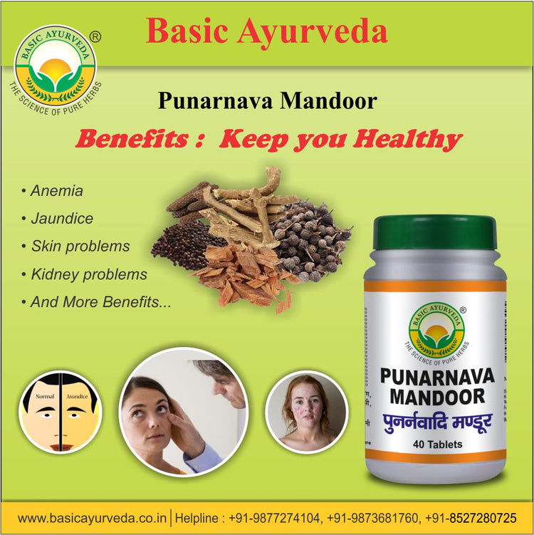 Basic Ayurveda Punarnava Mandoor 40 Tablet