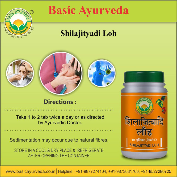 Basic Ayurveda Shilajityadi Loh 40 Tablet