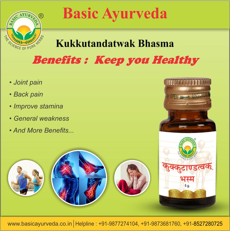 Basic Ayurveda Kukkutandatwak Bhasma 5 Gram