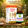 Basic Ayurveda Prawal Pishti