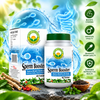 Basic Ayurveda  Sperm Booster Sukra Shakti Vardhak (Optimize Vitality, Volume & Motility) 40 Tablet