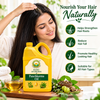 Basic Ayurveda Brahmi Hair Oil for Hair Growth & Scalp Nourishment | Enriched with Brahmi Herbal Extract | Helps Strengthen Hair Roots, Reduce Hair Fall & Promote Healthy Looking Hair | Suitable for All Hair Types
