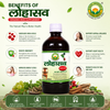 Basic Ayurveda Lohasava 450Ml