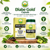 Basic Ayurveda Diabe Gold 40 Capsule