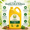 Basic Ayurveda Brahmi Hair Oil for Hair Growth & Scalp Nourishment | Enriched with Brahmi Herbal Extract | Helps Strengthen Hair Roots, Reduce Hair Fall & Promote Healthy Looking Hair | Suitable for All Hair Types