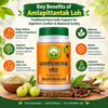 Basic Ayurveda Amalpitanytak Loh 40 Tablet | Helpful for  Acidity | Helpful in Gastritis | Helpful in Vomiting | Helpful in Abdominal Pain.