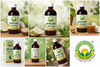 Basic Ayurveda Ash Gourd Juice 500ml (Kushmand Swaras/Safed Petha Ras) | Natural Ayurvedic Herbal Drink | Supports Digestion, Hydration, Energy & Daily Wellness | Pure Herbal Tonic