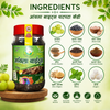 Basic Ayurveda Amla Bite (Gooseberry) Chatpata Candy 250 Gram | Contains amla which is a good source of vitamin C | Amla is beneficial in treating eyesight problems | Good for digestion | Helps in boosting immunity | Improves digestive system.