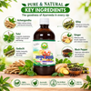 Basic Ayurveda Ayush Kwath Liquid Extract 450Ml