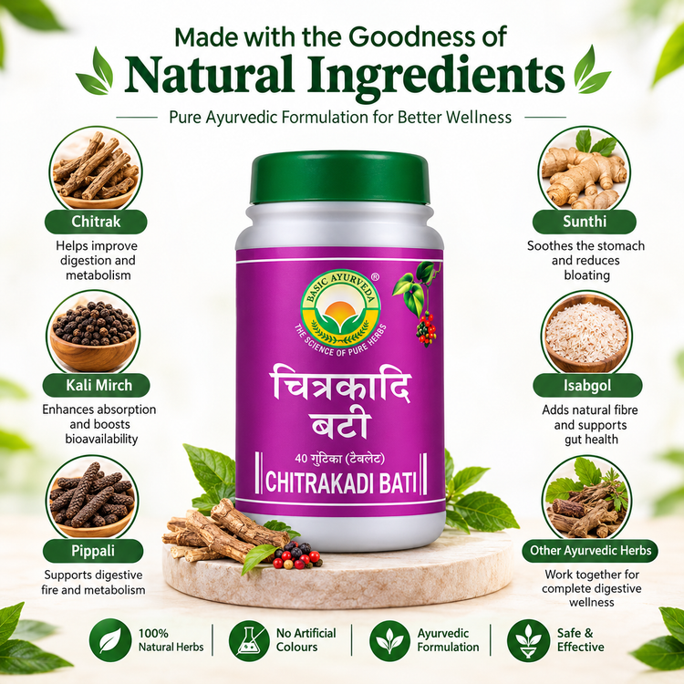 Basic Ayurveda Chitrakadi Bati 40 Tablet