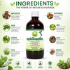 Basic Ayurveda Mahamanjishthadyarishta 450Ml