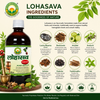 Basic Ayurveda Lohasava 450Ml