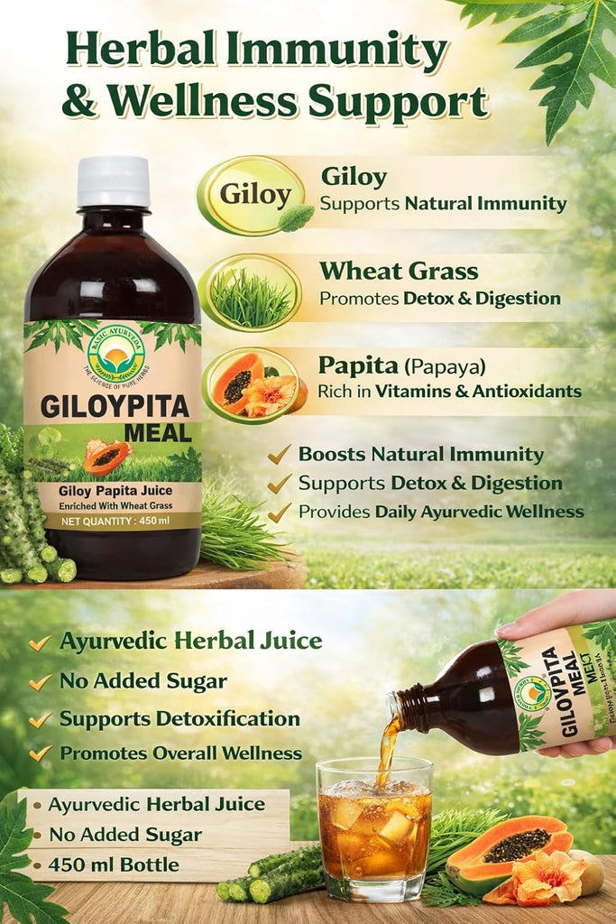 Basic Ayurveda GiloyPita Meal 450 ml | Giloy Papita Juice with Wheat Grass | Ayurvedic Immunity Booster & Daily Wellness Health Drink