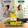 Basic Ayurveda Dashmool Taila (Dasamula Taila) Ayurvedic Herbal Massage Oil for External Use, Traditional Ayurvedic Oil with Dashmool Herbal Blend, Used in Body Massage for Daily Wellness, Relaxation and General Body Comfort