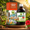Basic Ayurveda Lohasava 450Ml