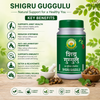 Basic Ayurveda Shigru Guggulu  40 Tablet