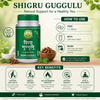 Basic Ayurveda Shigru Guggulu  40 Tablet