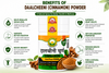 Basic Ayurveda Cinnamon Powder 40 gm| Pure Dalchini Churna | Extra Power Herbal Spice Powder | Supports Digestion, Metabolism & Gut Health | Natural Ayurvedic Masala | Sugar Balance & Warm Vitality Support