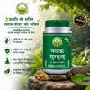 Basic Ayurveda Navaka Guggulu 40 Tablet