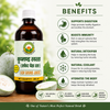Basic Ayurveda Ash Gourd Juice 500ml (Kushmand Swaras/Safed Petha Ras) | Natural Ayurvedic Herbal Drink | Supports Digestion, Hydration, Energy & Daily Wellness | Pure Herbal Tonic
