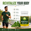 Basic Ayurveda Moringa D.S. Tablets 500mg | Pure Sahjan (Moringa Oleifera) Herbal Ayurvedic Supplement | Moringa Leaf Tablets for Men & Women | Daily Wellness Nutrition Supplement | 60 Tablets