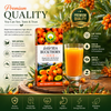 Basic Ayurveda Wild Sea Buckthorn Juice 200 ml - Herbal Berry Juice for Men & Women, Rich in Vitamin C, E, Omega 3 6 7 9, Natural Antioxidants | Supports Immunity, Skin Health & Daily Wellness