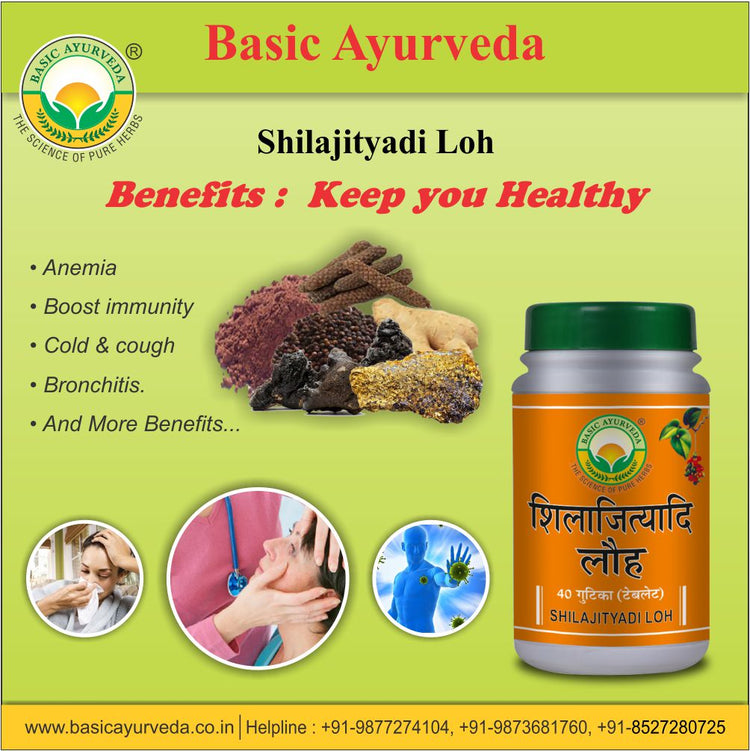 Basic Ayurveda Shilajityadi Loh 40 Tablet