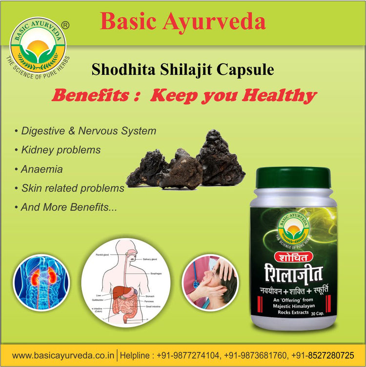 Basic Ayurveda Shodhita Shilajit 30 Capsule