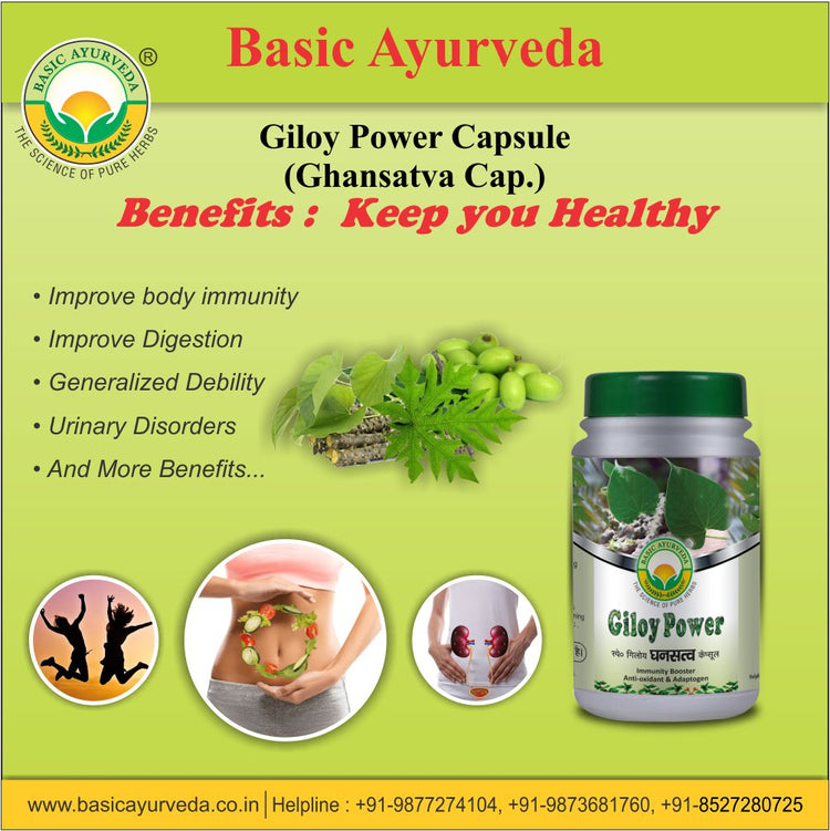 Basic Ayurveda Giloy Power 40 Capsules