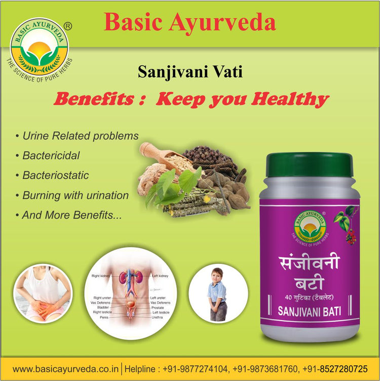 Basic Ayurveda Sanjivani Bati 40 Tablet