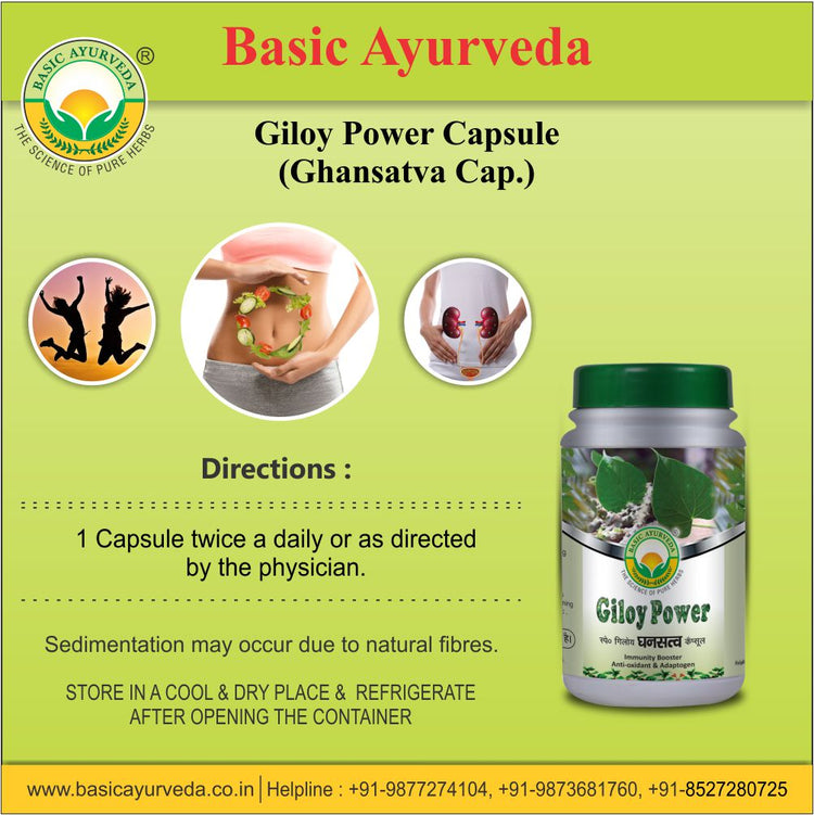 Basic Ayurveda Giloy Power 40 Capsules