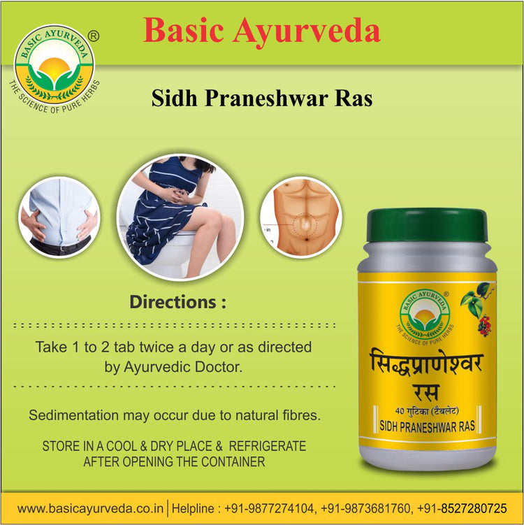 Basic Ayurveda Sidh Praneshwar Ras 40 Tablet